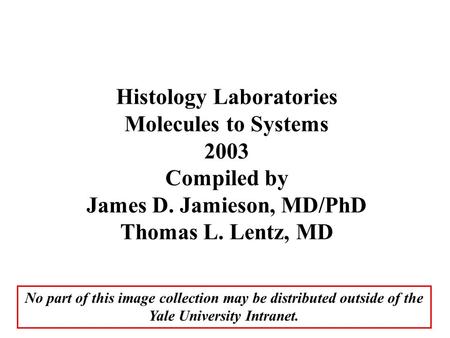 Histology Laboratories Molecules to Systems 2003 Compiled by James D. Jamieson, MD/PhD Thomas L. Lentz, MD No part of this image collection may be distributed.