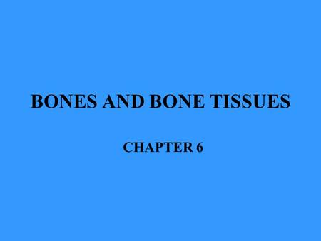 BONES AND BONE TISSUES CHAPTER 6.
