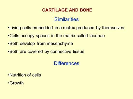 CARTILAGE AND BONE Similarities Living cells embedded in a matrix produced by themselves Cells occupy spaces in the matrix called lacunae Both develop.