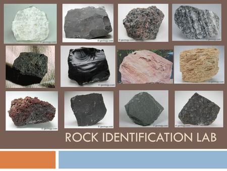 ROCK IDENTIFICATION LAB. What type of rock is this? Where or how is it formed?
