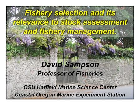 David Sampson Professor of Fisheries