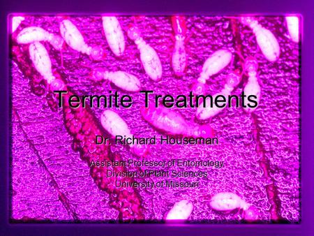 Kansas IPM Education October 2005 Termite Treatments Termite Treatments Dr. Richard Houseman Assistant Professor of Entomology Division of Plant Sciences.