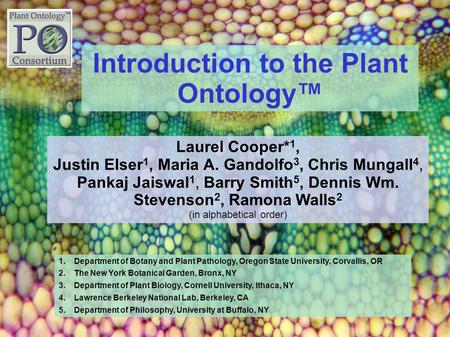 Introduction to the Plant Ontology™ Laurel Cooper* 1, Justin Elser 1, Maria A. Gandolfo 3, Chris Mungall 4, Pankaj Jaiswal 1, Barry Smith 5, Dennis Wm.
