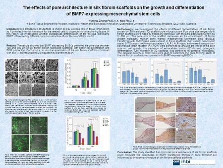 The effects of pore architecture in silk fibroin scaffolds on the growth and differentiation of BMP7-expressing mesenchymal stem cells Yufeng. Zhang Ph.D.