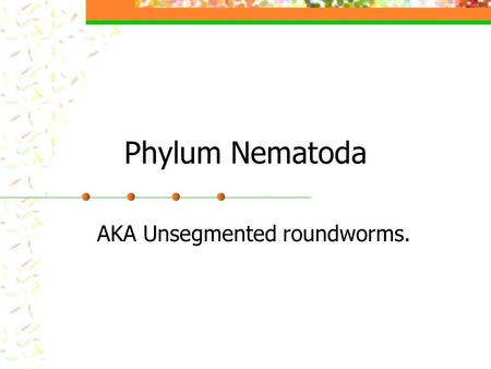 AKA Unsegmented roundworms.