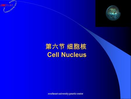 Southeast university genetic center 第六节 细胞核 Cell Nucleus.