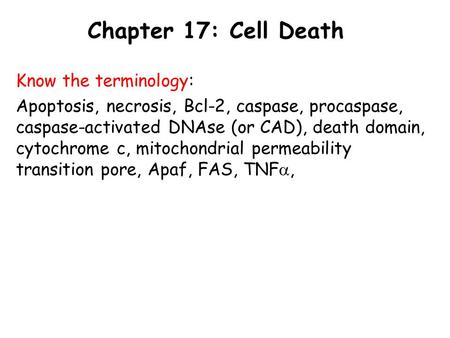 Chapter 17: Cell Death Know the terminology: Apoptosis, necrosis, Bcl-2, caspase, procaspase, caspase-activated DNAse (or CAD), death domain, cytochrome.