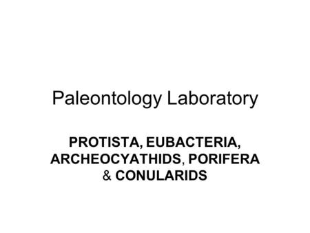 Paleontology Laboratory PROTISTA, EUBACTERIA, ARCHEOCYATHIDS, PORIFERA & CONULARIDS.