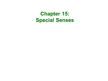 Chapter 15: Special Senses.