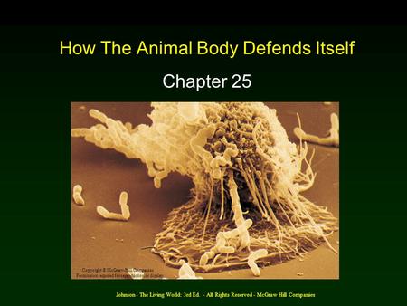 How The Animal Body Defends Itself