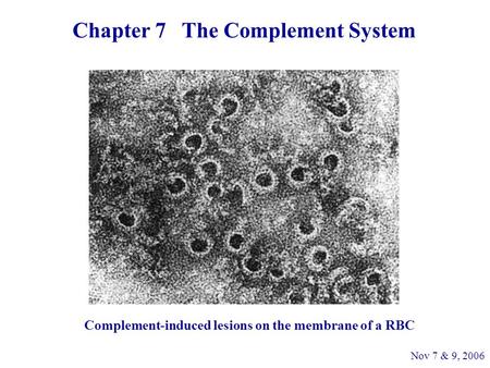 Chapter 7 The Complement System Complement-induced lesions on the membrane of a RBC Nov 7 & 9, 2006.