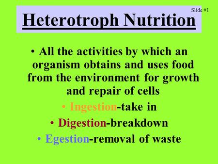 Heterotroph Nutrition