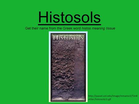Histosols Get their name from the Greek word histos meaning tissue  ettler/histosolsLG.gif.