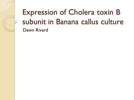 Expression of Cholera toxin B subunit in Banana callus culture Dawn Rivard.
