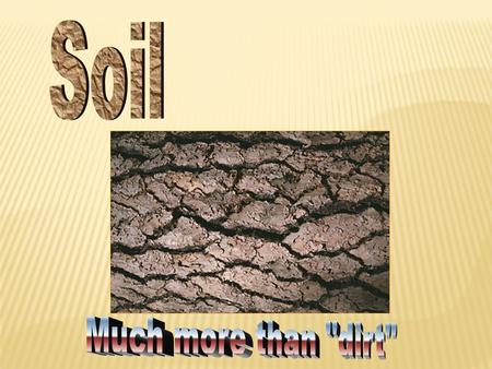 Soil Much more than dirt.