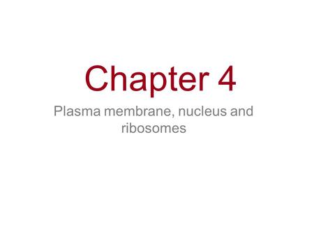 Chapter 4 Plasma membrane, nucleus and ribosomes.