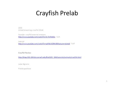 Crayfish Prelab 2010 United streaming: crayfish 10:44 Youtube- crayfish external anatomy