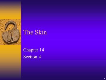 The Skin Chapter 14 Section 4.