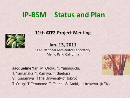 IP-BSM Status and Plan 11th ATF2 Project Meeting Jan. 13, 2011 SLAC National Accelerator Laboratory Menlo Park, California Jacqueline Yan, M. Oroku, Y.