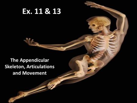 The Appendicular Skeleton, Articulations and Movement