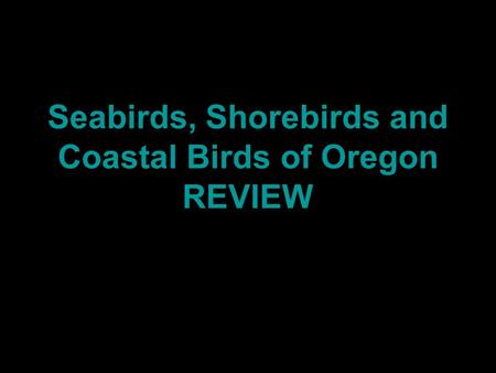 Seabirds, Shorebirds and Coastal Birds of Oregon REVIEW.