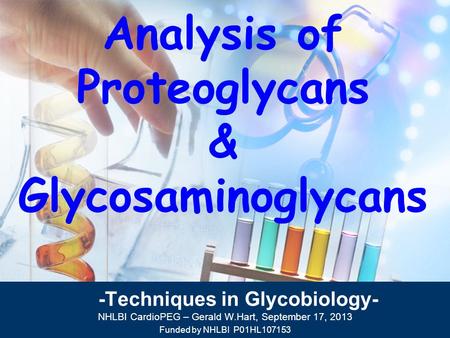 -Techniques in Glycobiology-