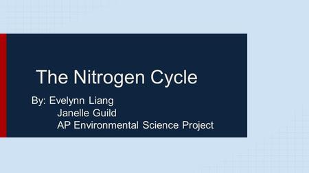 The Nitrogen Cycle By: Evelynn Liang Janelle Guild AP Environmental Science Project.
