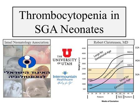 Thrombocytopenia in SGA Neonates Israel Neonatology AssociationRobert Christensen, MD.