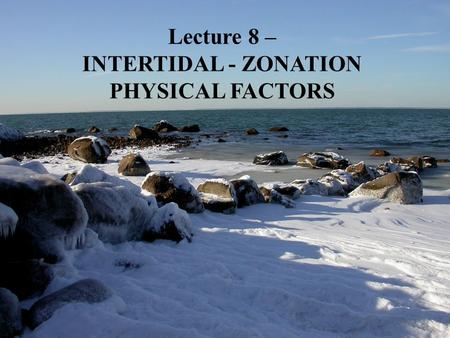 Lecture 8 – INTERTIDAL - ZONATION PHYSICAL FACTORS.