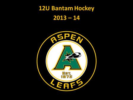 12U Bantam Hockey 2013 – 14. Objectives: AJH Mission and Goals Mission: Developing youth into young men and women with strong character through the sport.