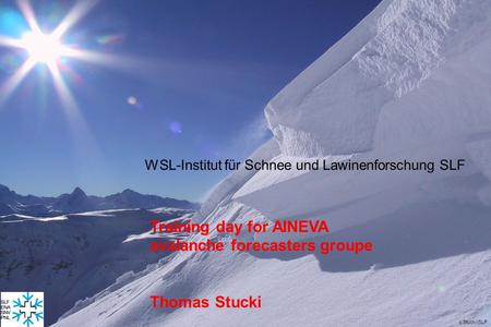 Training day for AINEVA avalanche forecasters groupe