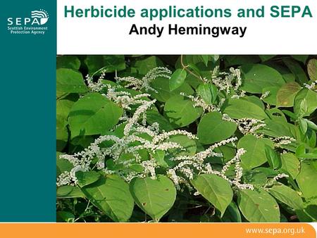 Herbicide applications and SEPA Andy Hemingway. How to notify SEPA before using herbicides in or near water On-site management of Japanese Knotweed Briefly….