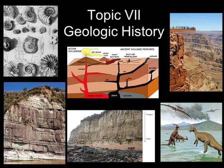 Topic VII Geologic History