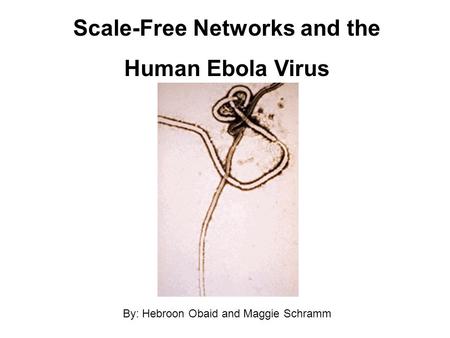 Scale-Free Networks and the Human Ebola Virus By: Hebroon Obaid and Maggie Schramm.