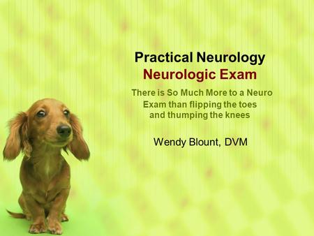 Practical Neurology Neurologic Exam There is So Much More to a Neuro Exam than flipping the toes and thumping the knees Wendy Blount, DVM.