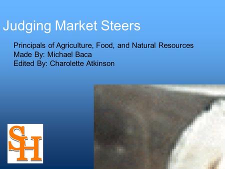 Judging Market Steers Principals of Agriculture, Food, and Natural Resources Made By: Michael Baca Edited By: Charolette Atkinson.