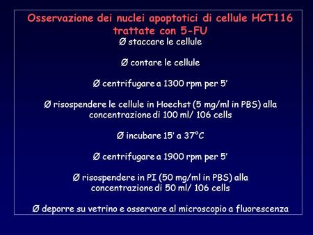 Osservazione dei nuclei apoptotici di cellule HCT116 trattate con 5-FU Ø staccare le cellule Ø contare le cellule Ø centrifugare a 1300 rpm per 5’ Ø risospendere.