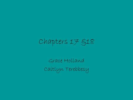 Chapters 17 &18 Grace Holland Caitlyn Terebbesy. Chapter 17 Summary During this chapter Hester and Dimmesdale escape to the forest to be alone away from.