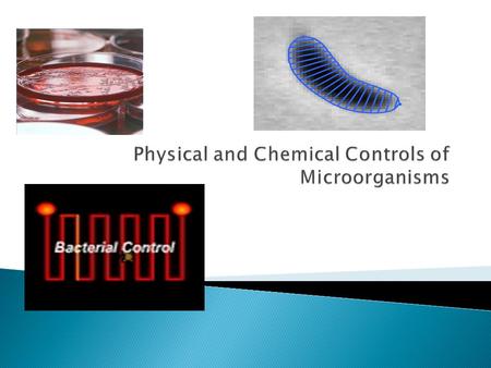 In order to control microorganisms, you must either: Kill them Inhibit their growth.