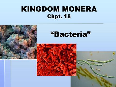 KINGDOM MONERA Chpt. 18 “Bacteria”. Kingdom Monera  Commonly called bacteria  All monerans are unicellular  All monerans are prokaryotes Prokaryotes: