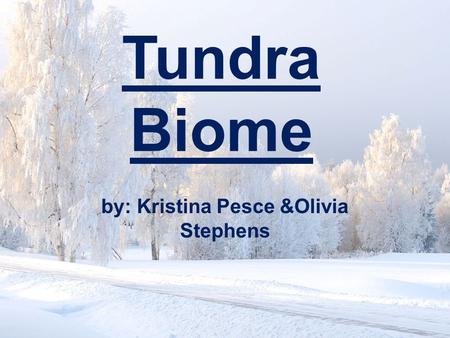 Tundra Biome by: Kristina Pesce &Olivia Stephens.