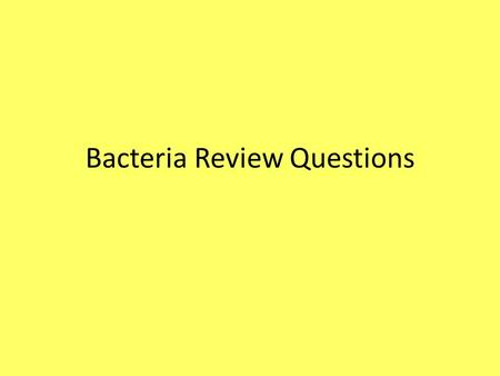 Bacteria Review Questions. 1.Identify the two major groups of bacteria. 2.Explain the difference between gram positive and gram negative bacteria. 3.Describe.