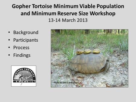 Gopher Tortoise Minimum Viable Population and Minimum Reserve Size Workshop 13-14 March 2013 Background Participants Process Findings Photo by Dirk J.