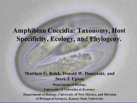Amphibian Coccidia: Taxonomy, Host Specificity, Ecology, and Phylogeny. Matthew G. Bolek, Donald W. Duszynski, and Steve J. Upton Department of Biology,