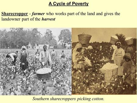 Sharecropper - farmer who works part of the land and gives the landowner part of the harvest A Cycle of Poverty Southern sharecroppers picking cotton.