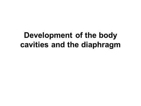 Development of the body cavities and the diaphragm