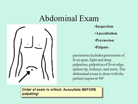 Abdominal Exam Inspection Auscultation Percussion Palpate