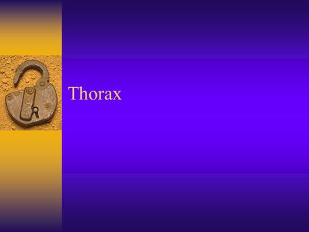 Thorax.