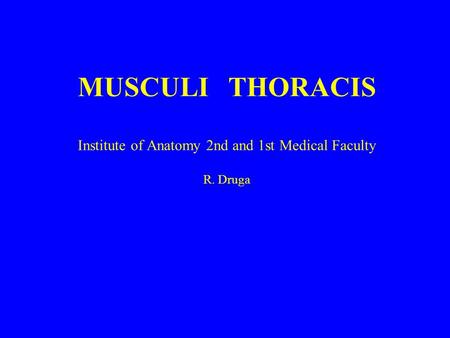 MUSCULI THORACIS Institute of Anatomy 2nd and 1st Medical Faculty R