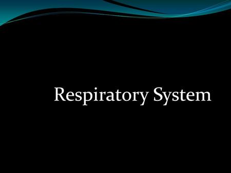 Respiratory System.